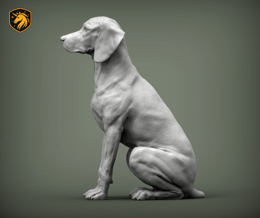 Hungarian Vizsla / Pointer (Sitting Pose) – Unpainted ABS Resin Model | Realistic Dog Sculpture