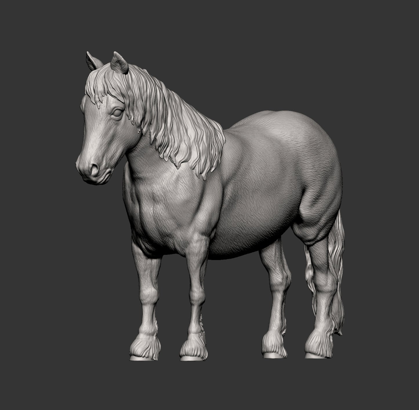 Pony – Unpainted 3D Print | ABS White Resin