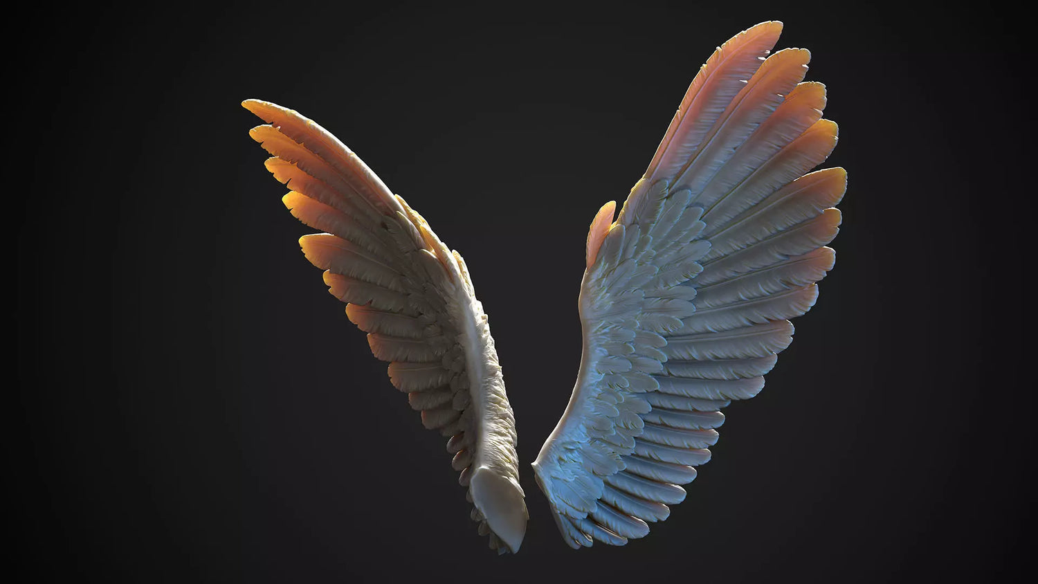 Wings