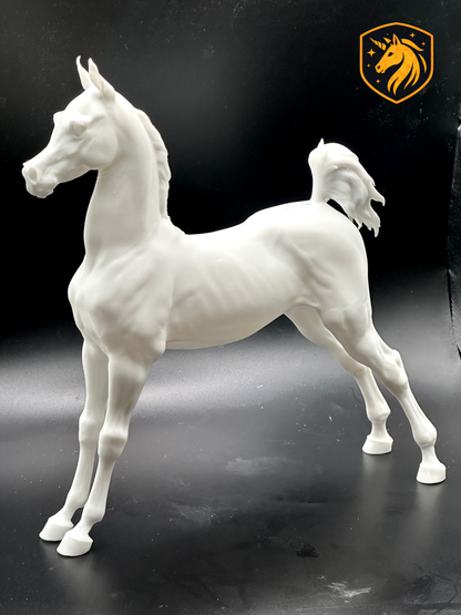 Arabian (Arab) Foal | Unpainted ABS White Resin