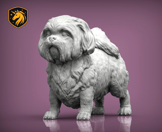 Shih Tzu (Standing Pose) – Unpainted ABS Resin Model | Realistic Dog Sculpture