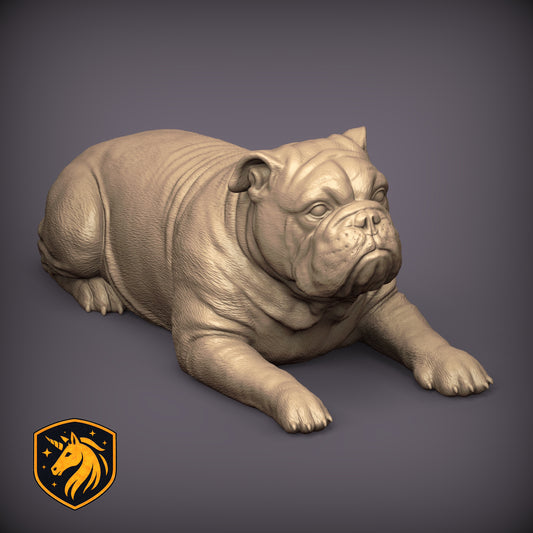 English Bulldog (Lying Pose) – Unpainted ABS Resin Model | Realistic Canine Sculpture