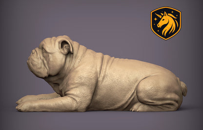 English Bulldog (Lying Pose) – Unpainted ABS Resin Model | Realistic Canine Sculpture