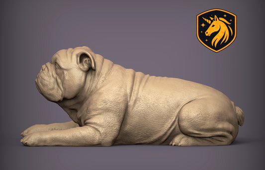 English Bulldog (Lying Pose) – Unpainted ABS Resin Model | Realistic Canine Sculpture