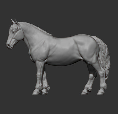 Percheron Horse (Standing Pose) – Unpainted 3D Print | ABS White Resin