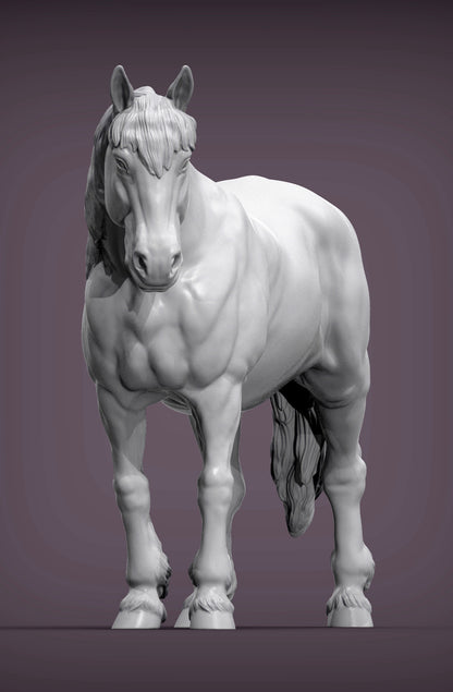 Percheron Horse (Standing Pose) – Unpainted 3D Print | ABS White Resin