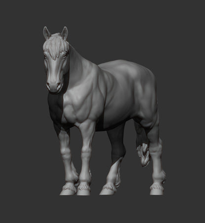 Percheron Horse (Standing Pose) – Unpainted 3D Print | ABS White Resin