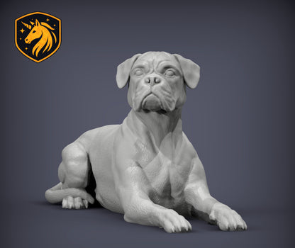 Boxer (Lying Pose) – Unpainted ABS Resin Model | Realistic Canine Sculpture