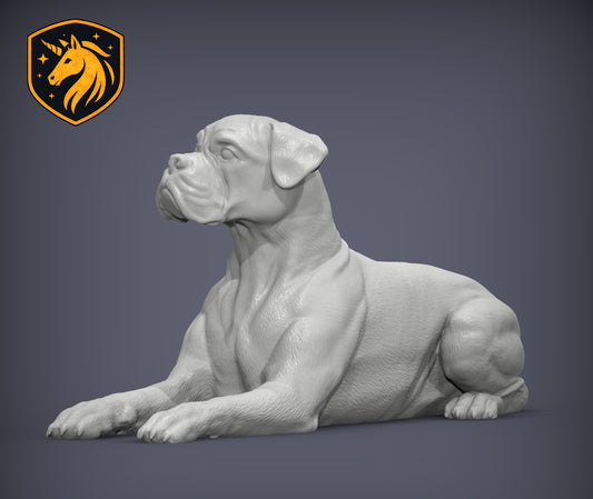 Boxer (Lying Pose) – Unpainted ABS Resin Model | Realistic Canine Sculpture