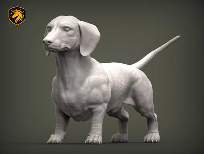 Dachshund (Standing Pose) – Unpainted ABS Resin Model | Realistic Dog Sculpture