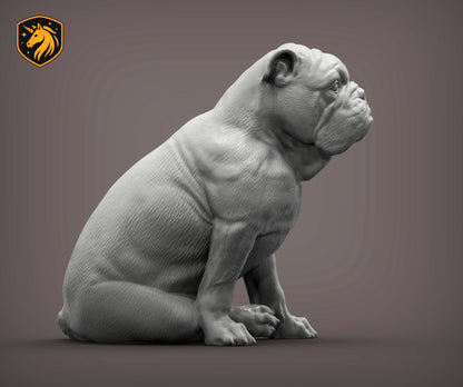 English Bulldog (Sitting Pose) – Unpainted ABS Resin Model | Realistic Dog Sculpture