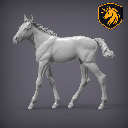 Foal (Walking Pose) – Unpainted Resin Model | Realistic Young Horse Sculpture