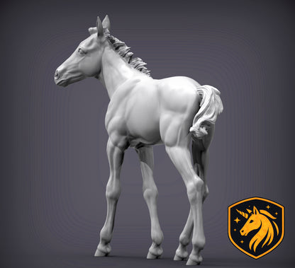 Foal (Walking Pose) – Unpainted Resin Model | Realistic Young Horse Sculpture