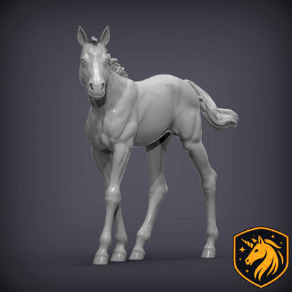 Foal (Walking Pose) – Unpainted Resin Model | Realistic Young Horse Sculpture