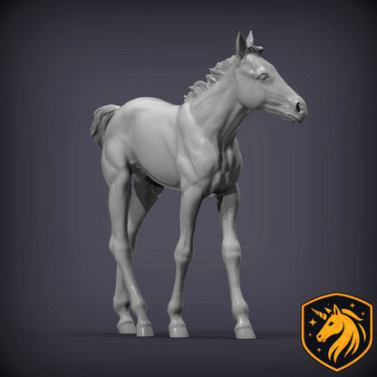 Foal (Walking Pose) – Unpainted Resin Model | Realistic Young Horse Sculpture
