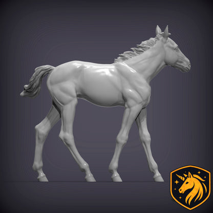 Foal (Walking Pose) – Unpainted Resin Model | Realistic Young Horse Sculpture
