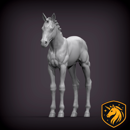 Foal (Standing Pose) – Unpainted Resin Model | Realistic Young Horse Sculpture
