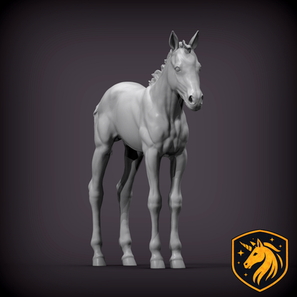Foal (Standing Pose) – Unpainted Resin Model | Realistic Young Horse Sculpture