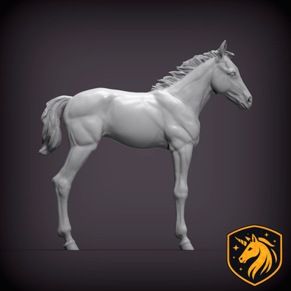 Foal (Standing Pose) – Unpainted Resin Model | Realistic Young Horse Sculpture
