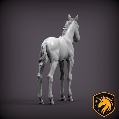 Foal (Standing Pose) – Unpainted Resin Model | Realistic Young Horse Sculpture