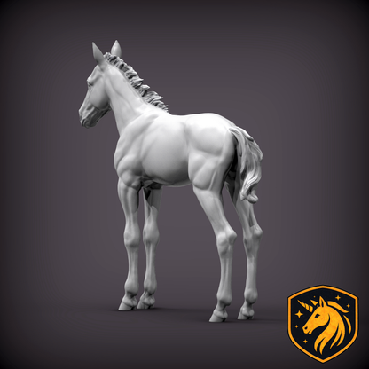 Foal (Standing Pose) – Unpainted Resin Model | Realistic Young Horse Sculpture