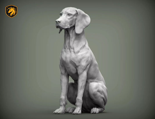Hungarian Vizsla / Pointer (Sitting Pose) – Unpainted ABS Resin Model | Realistic Dog Sculpture