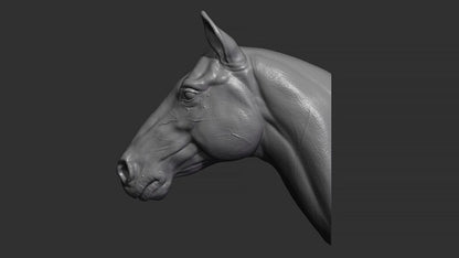 Horse Head Wall Art Mount (No Forelock) | 3D Printed Bust | Standard, Large, Extra Large & LifeSize Available
