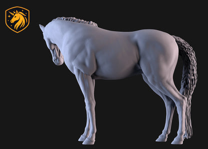 Sport Horse Mare (Standing Pose) – Unpainted ABS Resin Model | Realistic Equine Sculpture