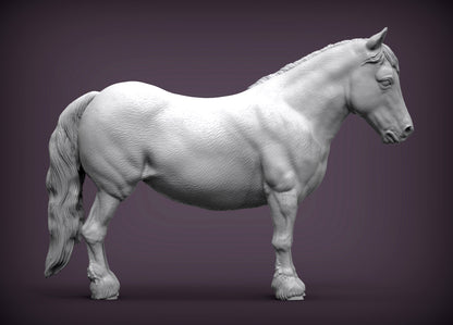 Pony – Unpainted 3D Print | ABS White Resin