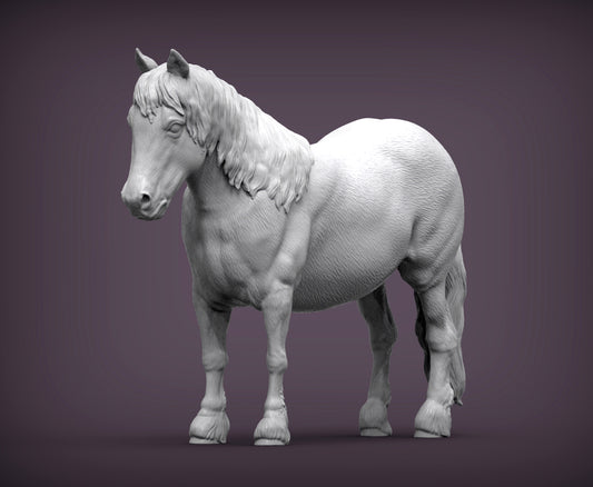 Pony – Unpainted 3D Print | ABS White Resin